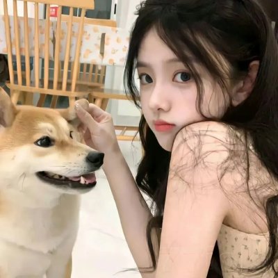 合家春 在线观看