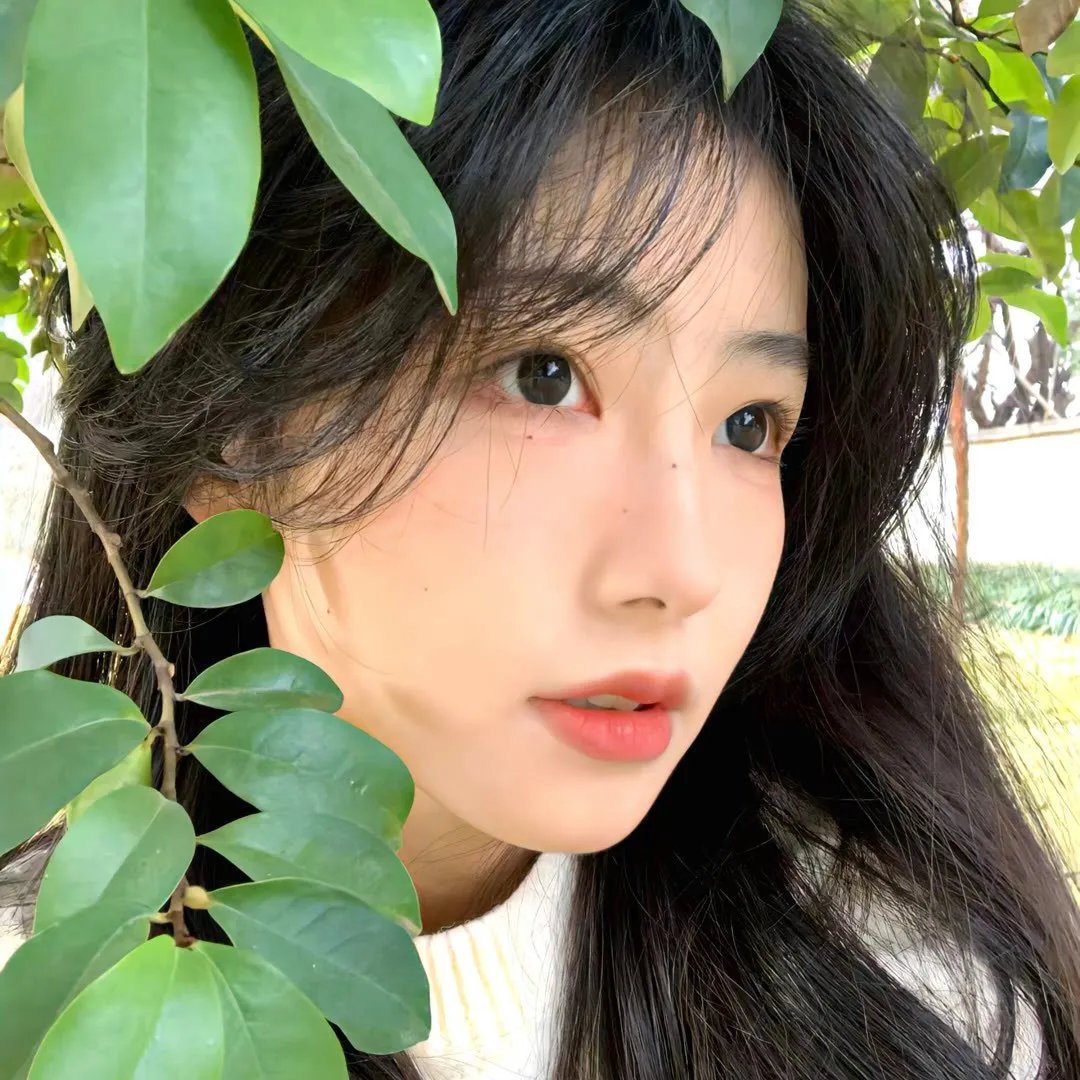 春花凝雨露 在线观看